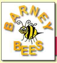 Barney Bees Ltd 687127 Image 1